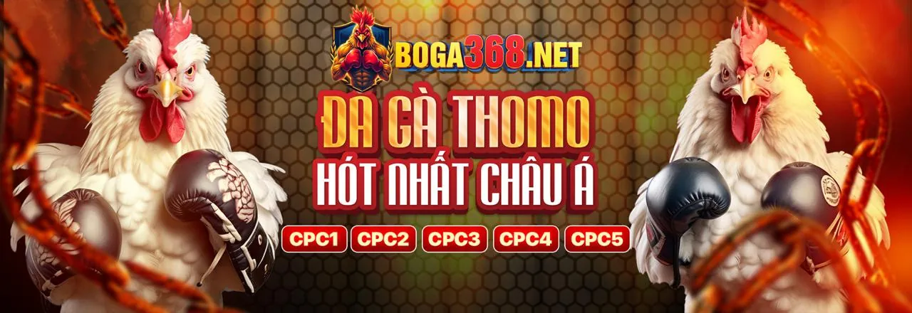 Ví điện tử ZaloPay MoMo 77ball